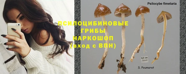 а пвп мука Тольятти