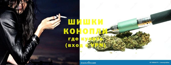 ПСИЛОЦИБИНОВЫЕ ГРИБЫ Абаза