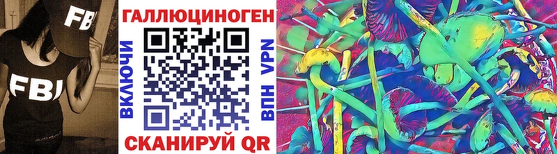 купить наркотик  Алдан  Галлюциногенные грибы MAGIC MUSHROOMS 